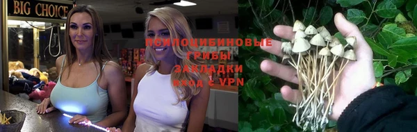 дживик Сафоново