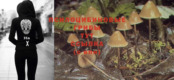а пвп мука Сатка