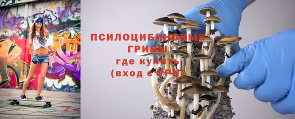 а пвп мука Сатка