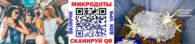 Галлюциногенные грибы Magic Shrooms  Купить закладки  Холм 